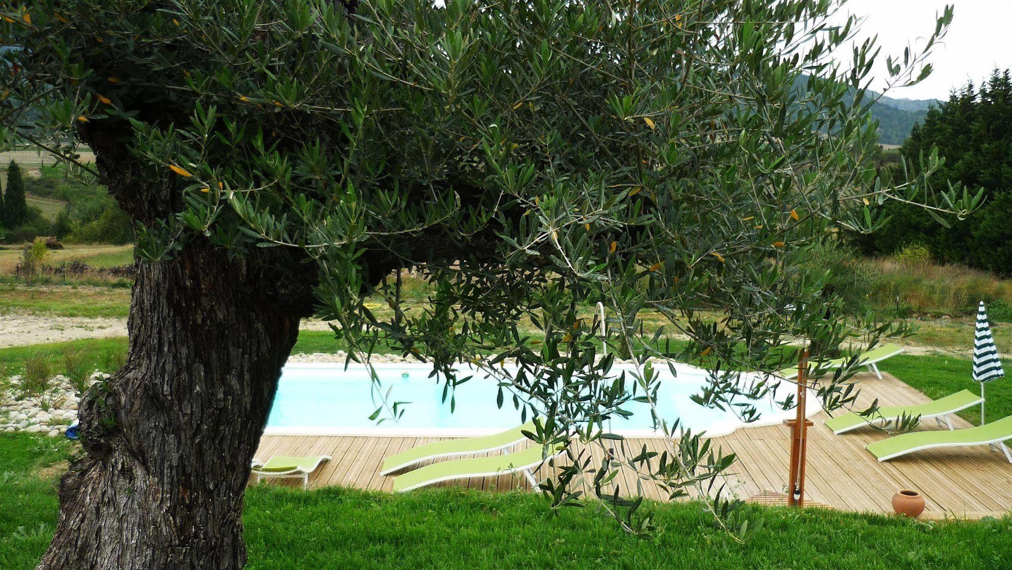 Bed and Breakfast Relais De L'Alsou- Piscine Labastide-en-Val Zewnętrze zdjęcie